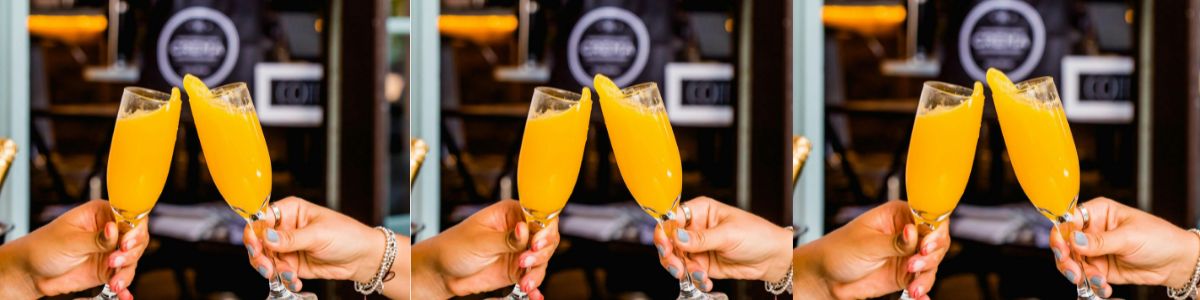 Mimosa (1)